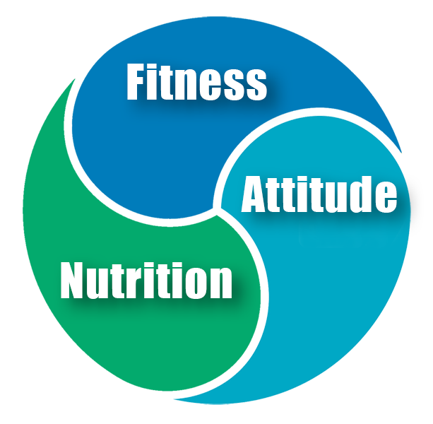 pie chart: Fitness, Nutrition, Attitude